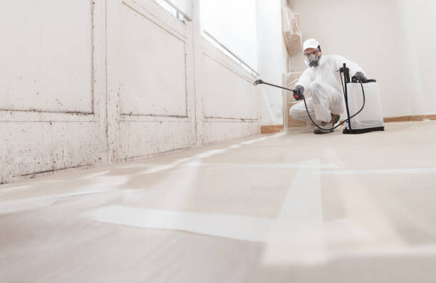 24/7 Emergency Mold Remediation experts in Roslyn, PA